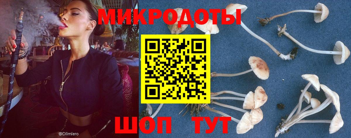 Фролово  Галлюциногенные грибы Cubensis  Вход с VPN  купить наркоту  Галлюциногенные грибы ЛСД 
