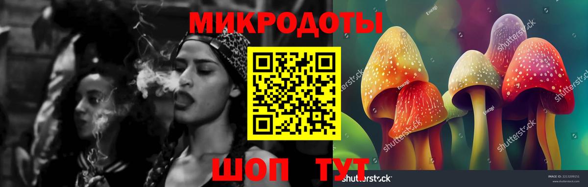 Галлюциногенные грибы Psilocybe Фролово